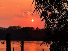 -乌托邦酒吧和餐厅