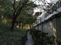 -窨子山古文化遗址