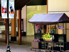 -王府井奥莱临潼小镇(临潼店)