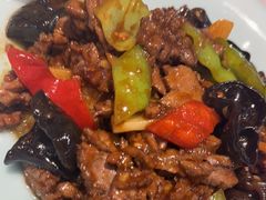 -新侨小馆(东直门北小街店)