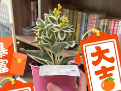 -IKEA宜家家居(南京商场)