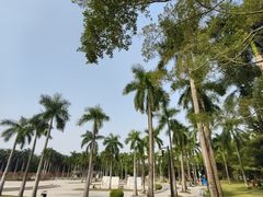 -南宁南湖公园