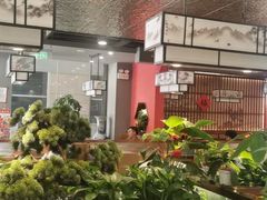 -洞庭家宴·头牌甲鱼(广渠门店)