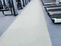 -金吉鸟健身游泳