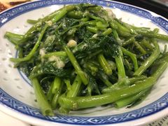 -小杨酒家(华苑小区店)