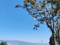-云禾壹海景庄园餐厅