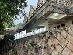 -金鱼妈妈 山野·食趣(荫山街店)