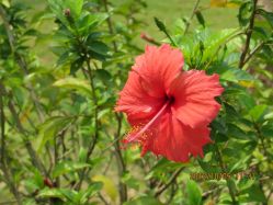 照片&nbsp;747-云湖游乐园