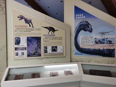 -延庆地质公园博物馆