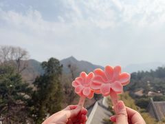 -潭柘寺景区