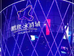 -鹏欣水游城