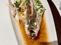 清蒸白水鱼-老地方369农家菜