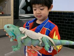 -FAIRYLAND龙族星球主题餐厅(凯丹广场店)