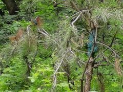 -北京上方山国家森林公园