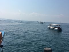 -东姑阿都拉曼海洋公园