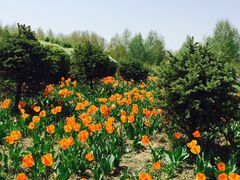 -长春公园(普阳街道)