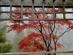 -四明山国家森林公园