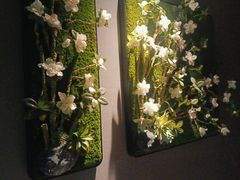-仟汇足道·SPA(秀洲总店)