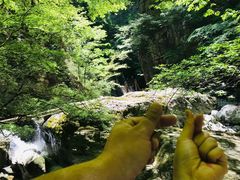 -牛背梁国家森林公园