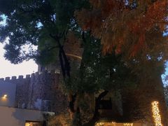 -J Create城市露营咖啡·简餐·宠物(上海动物园店)