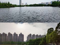 -成都南湖公园