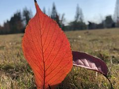 -杭州城北体育公园