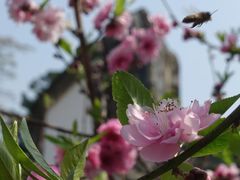-乌山风景区