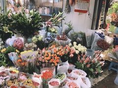 -桂林市花鸟市场