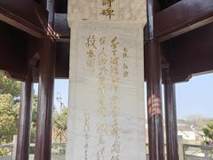 -观潮胜地公园