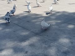 -海河外滩公园