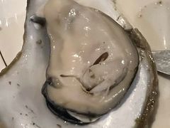 -土蚝·高压锅生蚝(百姓美食街店)