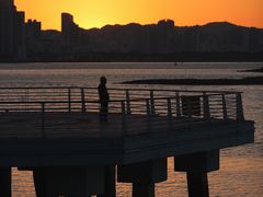 -海沧湾公园
