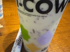 -一只酸奶牛(八一路店)