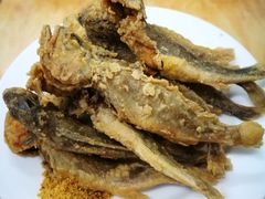 炸小黄花鱼-享口福饺子馆(民旺园店)
