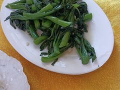 -鸿达渔港