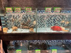 -鹏城人家海鲜酒家·23年老字号(较场尾店)