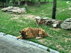 -北京野生动物园