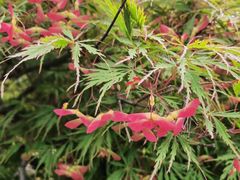 -白塘生态植物园