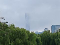 -团结湖公园
