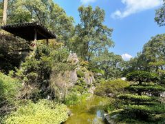-南山植物园
