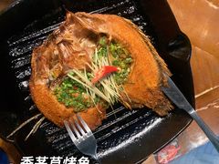 -雀舞云南菜(天津天河城购物中心店)