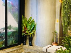 -PlantsEatery·植物食堂(REX春熙店)