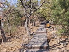 -北京十三陵国家森林公园蟒山景区