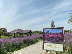 -上海杨姆庄园