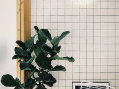 -COTTON CAFE(德信·中外公寓店)