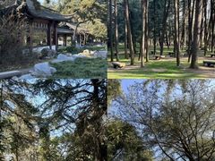 -扬州市茱萸湾风景区