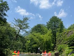 -藏龙百瀑风景区