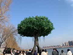 -咸阳湖景区
