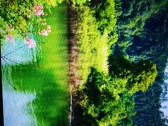 -千岛湖龙川湾