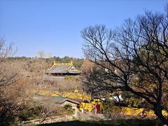 -虞山风景区